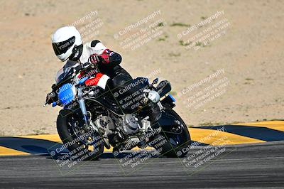 media/Mar-25-2024-Moto Forza (Mon) [[8d4319bd68]]/4-Novice Group/Session 1 (Turns 9 and 10)/